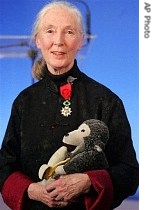 Britain's world-renowned primates expert Jane Goodall