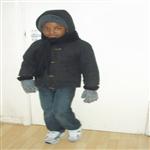 Petit Merve