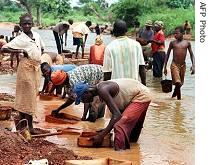 People look into their sifter to find a diamond stone, in Tortya, Ivory Coast 