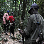 FDLR rebels in South Kivu