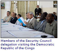 United Nations Security Council delegation in Kinshasa